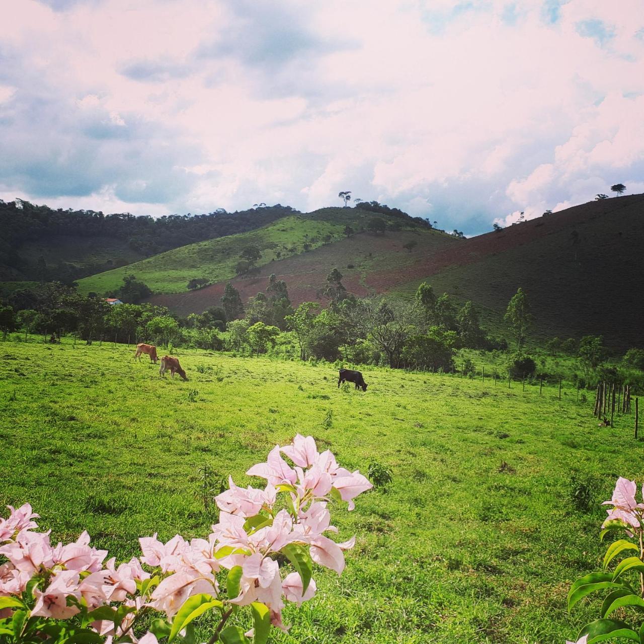 Pousada Chales Dos Montes Santana dos Montes Zewnętrze zdjęcie
